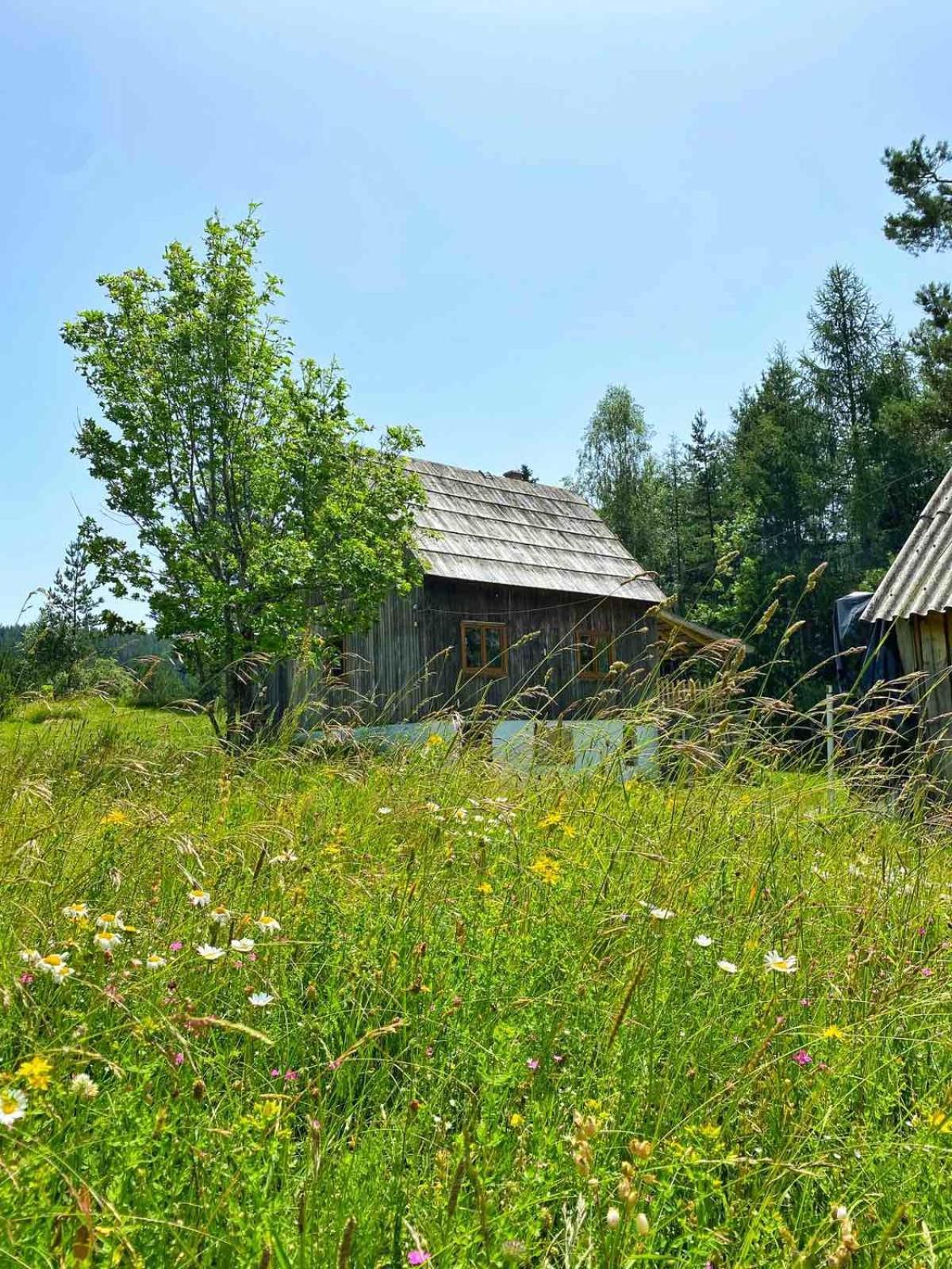 Bauernhof Vukov - Wolf's *