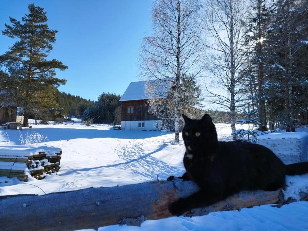 Vukov - Wolf's Bauernhof *